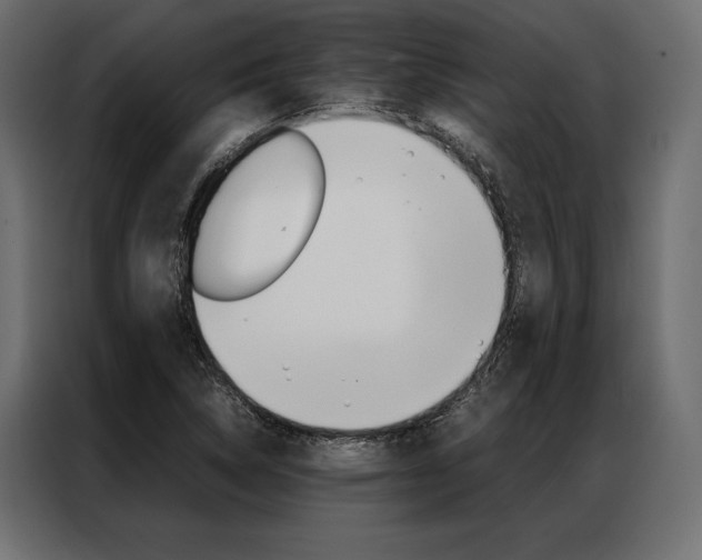 X0000086941314200704161026