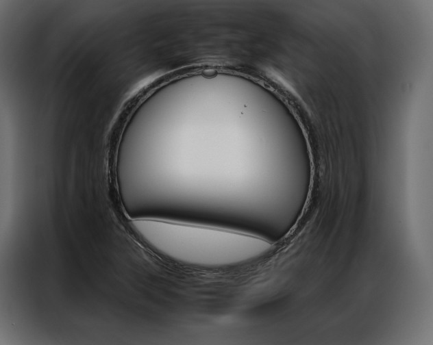 X0000086941315200704161026