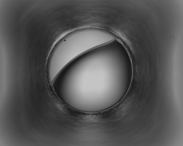 X0000086941316200704161026
