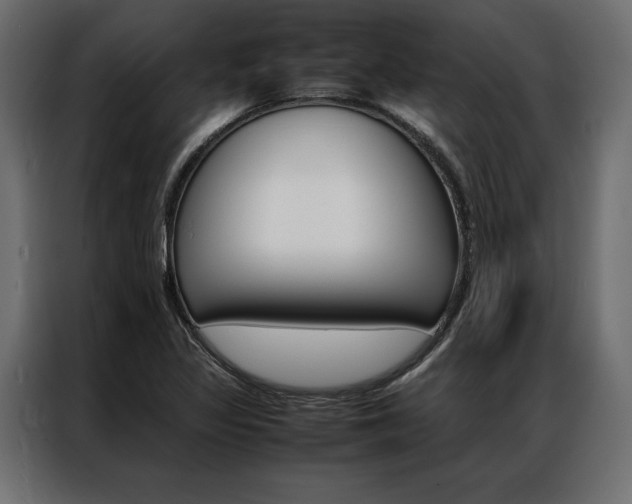 X0000086941317200704161026