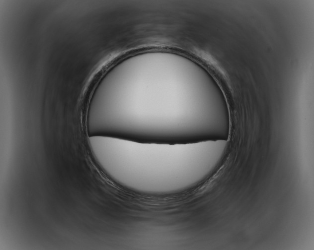 X0000086941318200704161026
