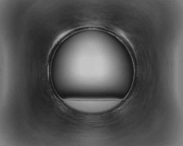 X0000086941320200704161026