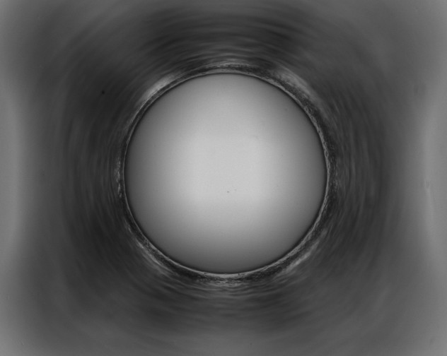 X0000086941321200704161026