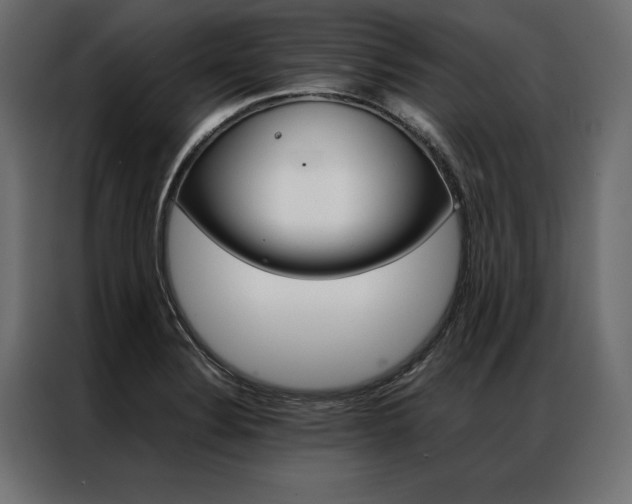 X0000086941324200704161026