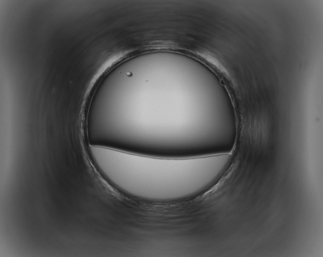 X0000086941325200704161026