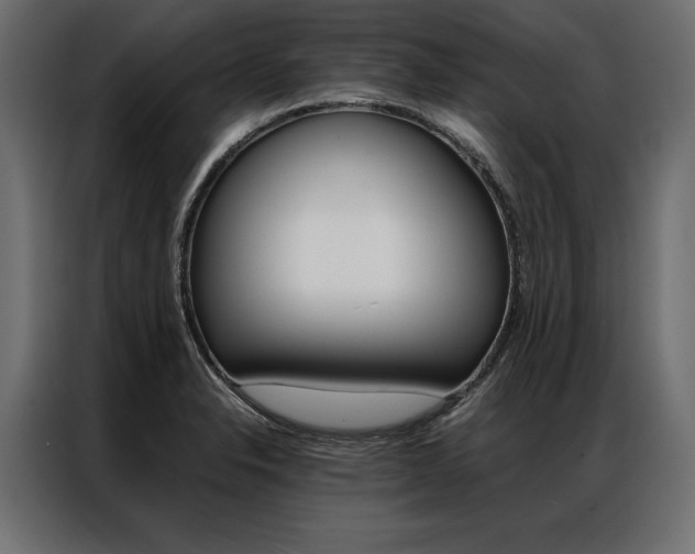 X0000086941326200704161026