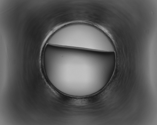 X0000086941327200704161026