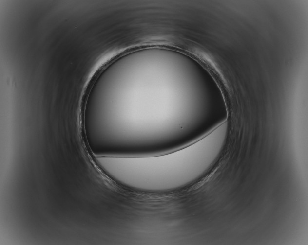 X0000086941328200704161026