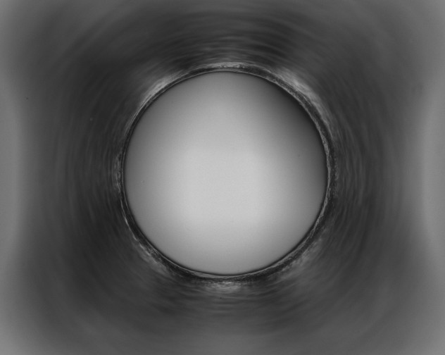 X0000086941329200704161026