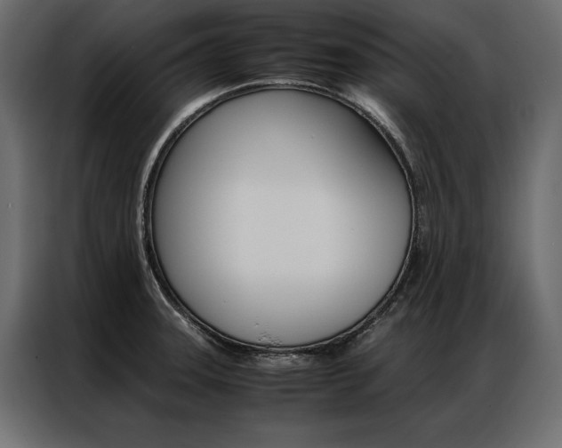 X0000086941331200704161026