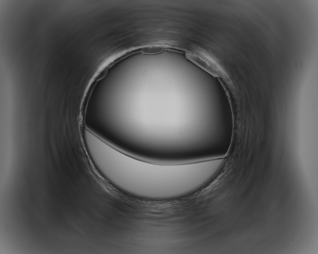 X0000086941332200704161026