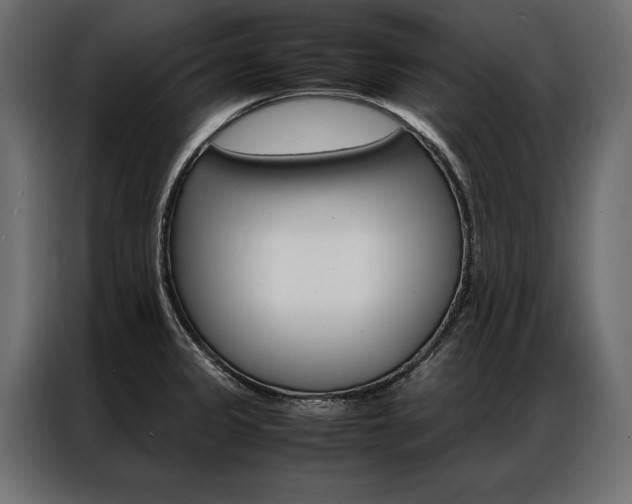 X0000086941333200704161026