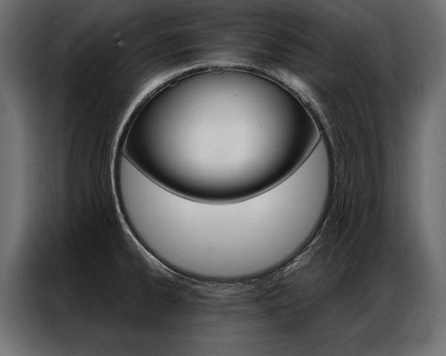 X0000086941334200704161026