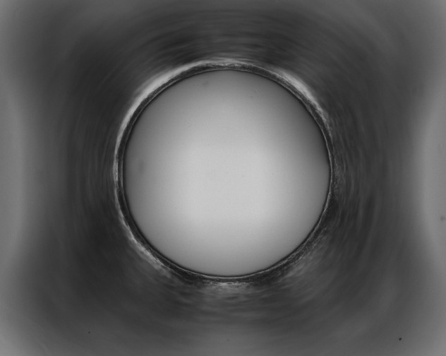 X0000086941335200704161026