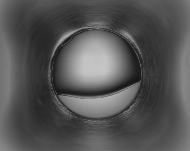 X0000086941336200704161026