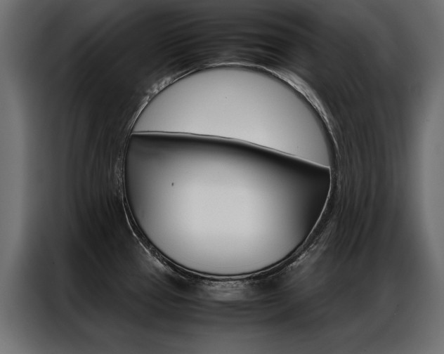 X0000086941337200704161026