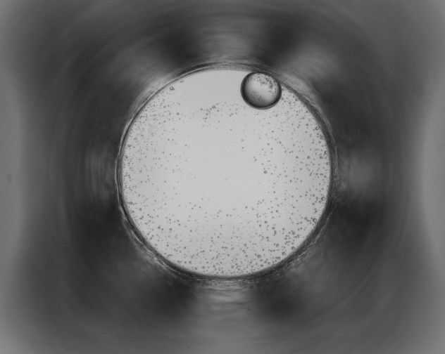 X0000086941338200704161026