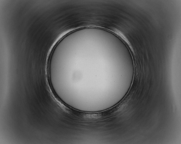X0000086941339200704161026