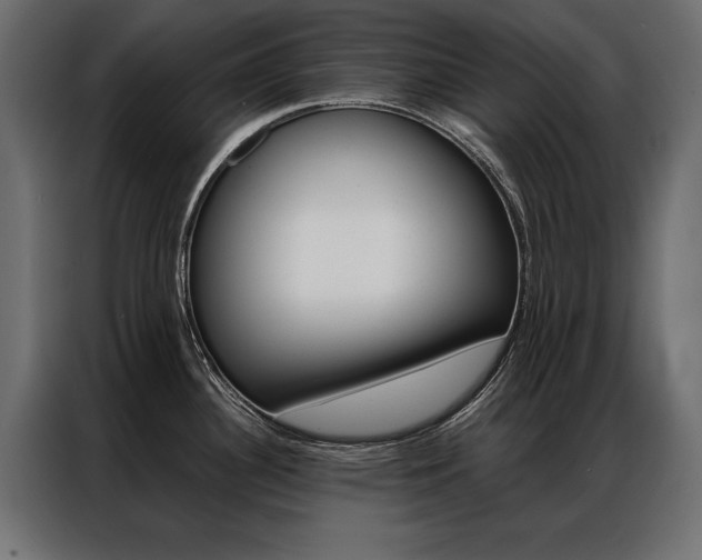 X0000086941340200704161026