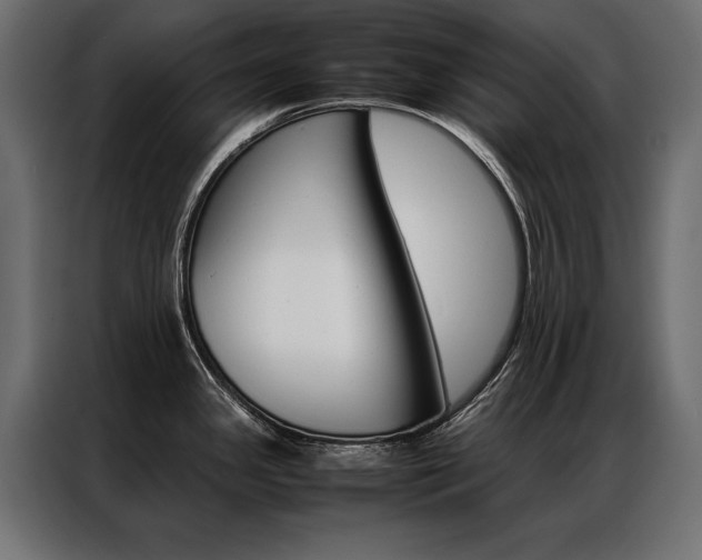 X0000086941341200704161026