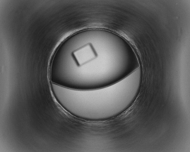 X0000086941342200704161026