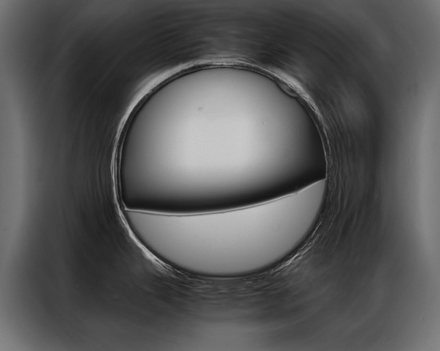 X0000086941343200704161026
