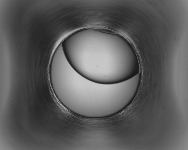X0000086941344200704161026