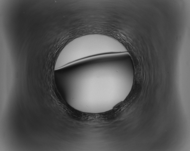 X0000086941345200704161026