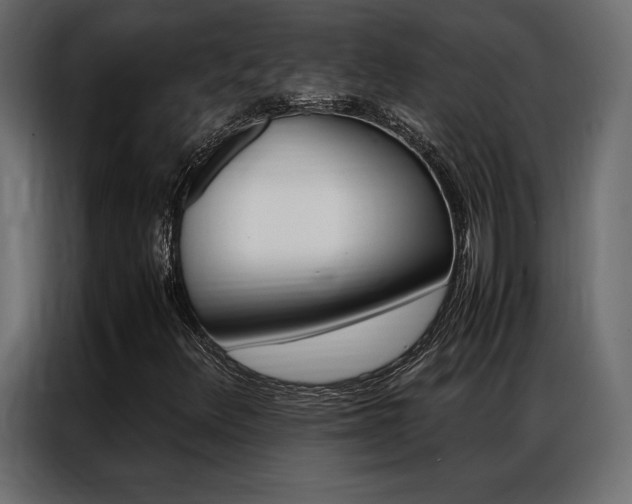X0000086941348200704161026