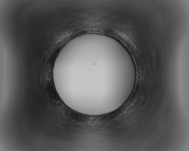 X0000086941350200704161026