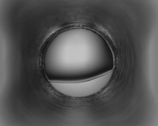 X0000086941352200704161025