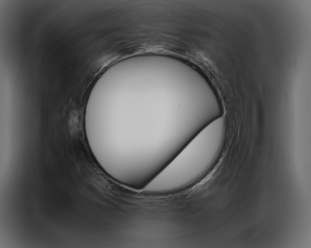X0000086941353200704161025