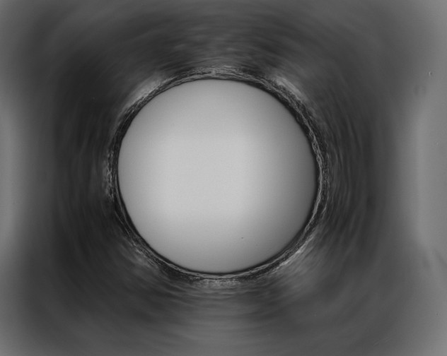 X0000086941354200704161025