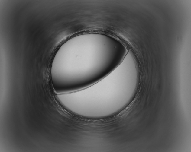 X0000086941355200704161025