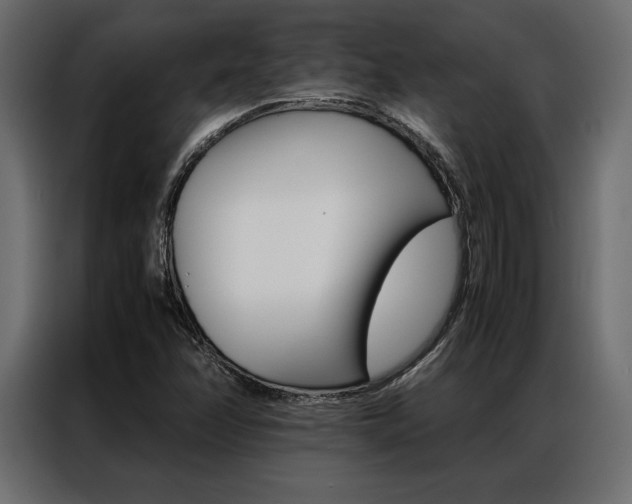 X0000086941358200704161025