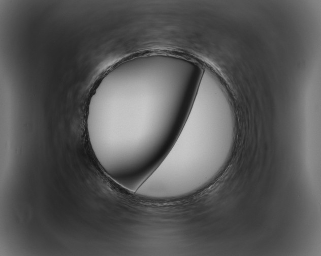 X0000086941359200704161025