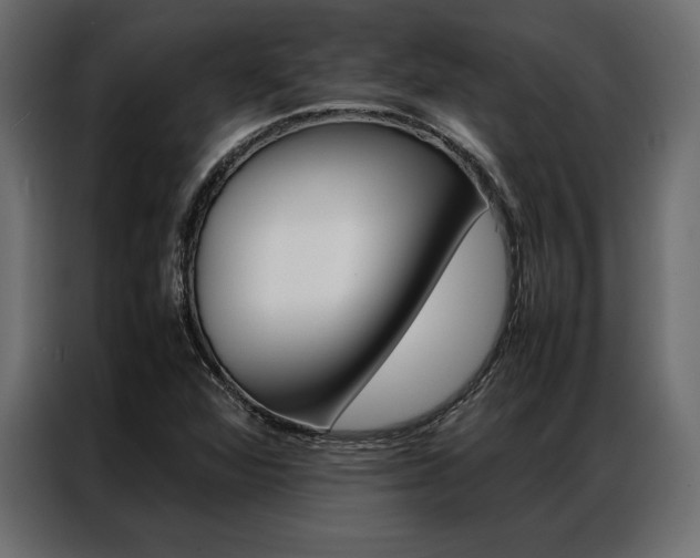 X0000086941360200704161025