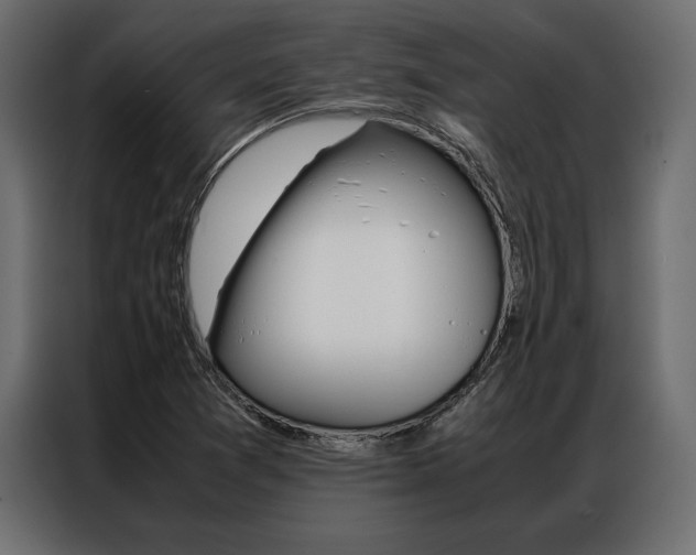 X0000086941361200704161025