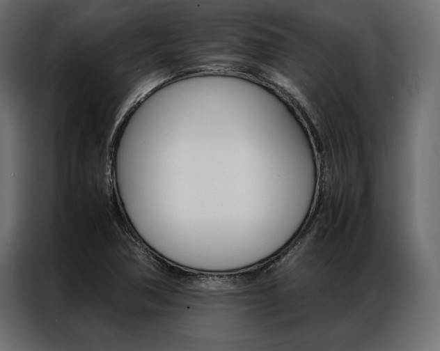 X0000086941362200704161025