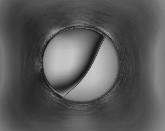 X0000086941363200704161025