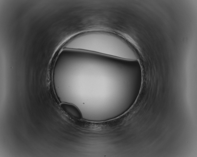 X0000086941364200704161025