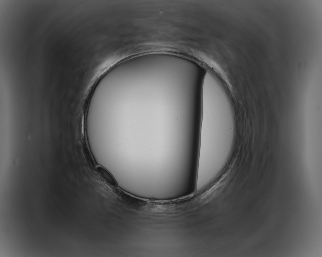 X0000086941365200704161025
