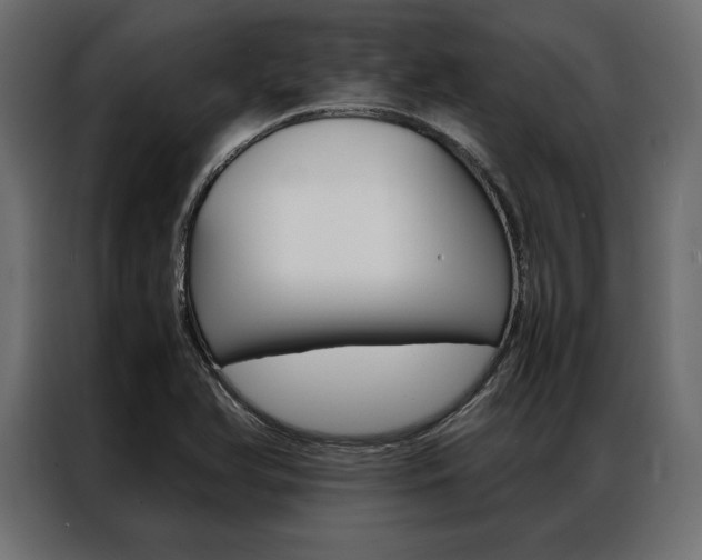 X0000086941366200704161025