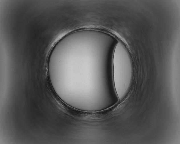 X0000086941367200704161025