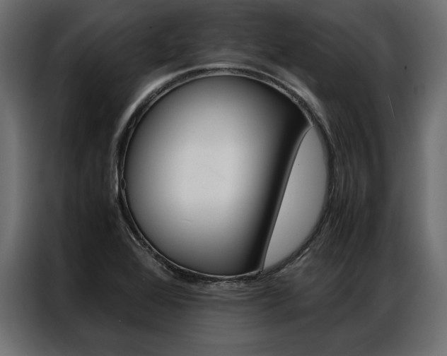 X0000086941368200704161025