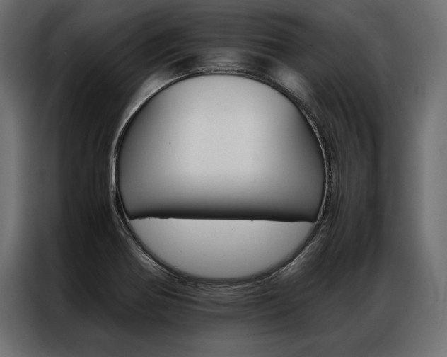 X0000086941370200704161025