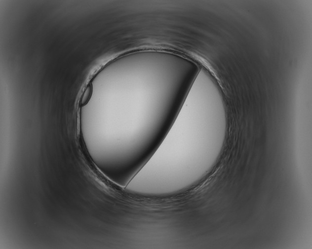 X0000086941371200704161025