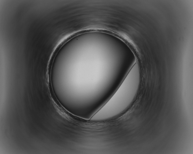 X0000086941372200704161025