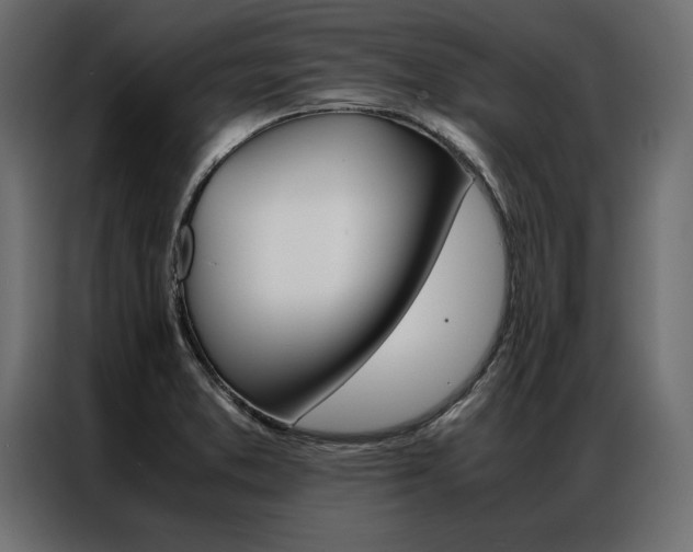 X0000086941373200704161025