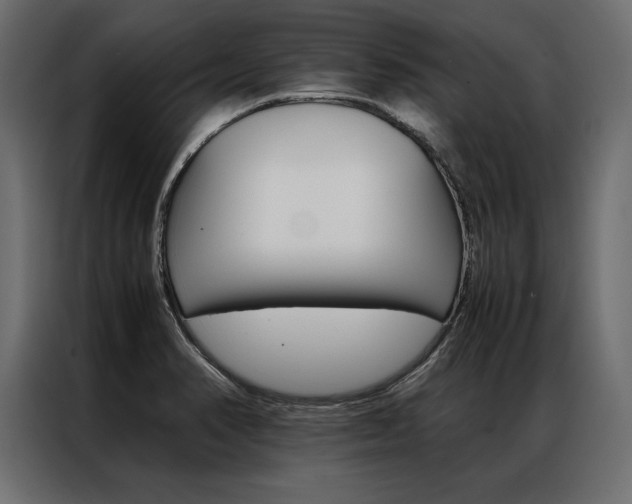 X0000086941374200704161025